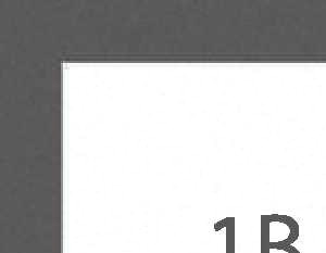 1B